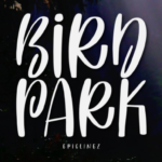 Bird Park Font - Featured Image