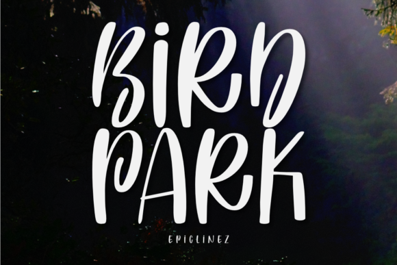 Bird Park Font - Featured Image