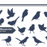 Bird Silhouette Font - Featured Image