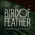 Bird of Feather Font - Featured Image