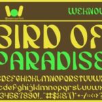 Bird of Paradise Font - Featured Image