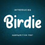 Birdie Font - Featured Image