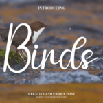 Birds Font - Featured Image