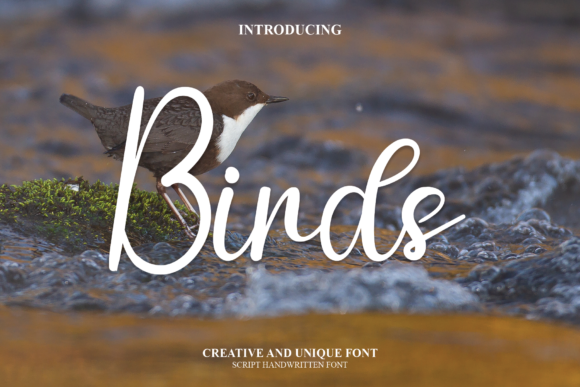 Birds Font - Featured Image