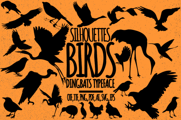 Birds Font - Featured Image