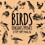 Birds Font - Featured Image