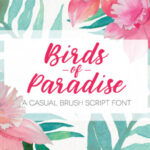 Birds of Paradies Font - Featured Image