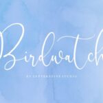 Birdwatch Font - Featured Image