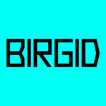 Birgid Font - Featured Image