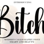 Bitch Font - Featured Image