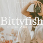 Bittyfish Font - Featured Image