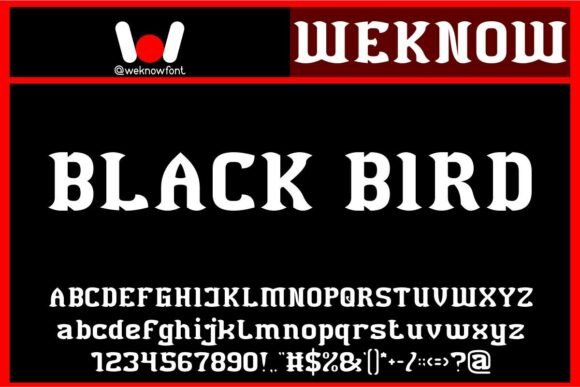 Black Bird Font - Featured Image