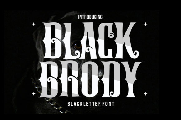 Black Brody Font - Featured Image