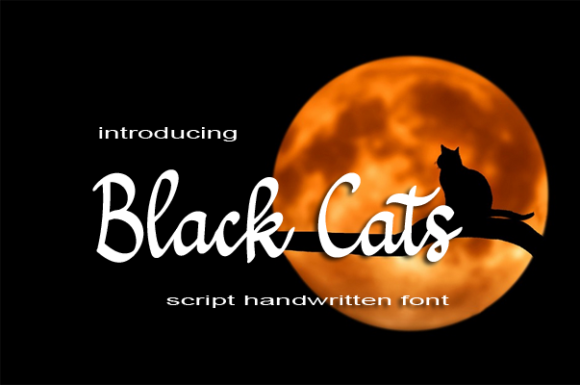 Black Cats Font - Featured Image