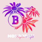 Black Eyed Susan Font - Featured Image