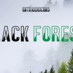 Black Forest Font - Featured Image