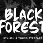 Black Forest Font - Featured Image