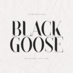 Black Goose Font - Featured Image