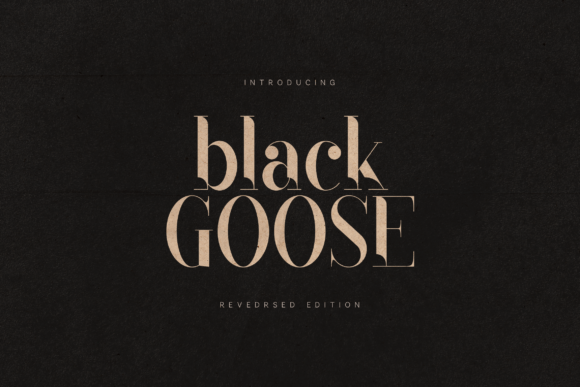 Black Goose Font - Featured Image