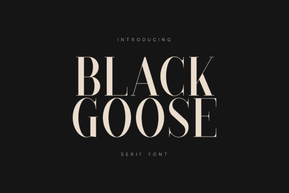 Black Goose Font - Featured Image