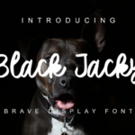 Black Jacky Font - Featured Image