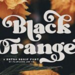 Black Orange Font - Featured Image