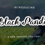 Black Panda Font - Featured Image