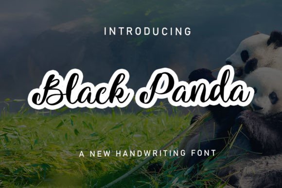 Black Panda Font - Featured Image