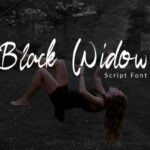 Black Widow Font - Featured Image