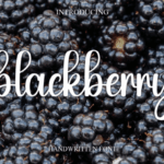 Blackberry Font - Featured Image