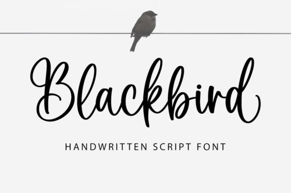 Blackbird Font - Featured Image