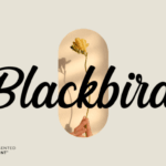 Blackbird Font - Featured Image