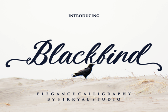 Blackbird Font - Featured Image