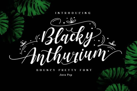 Blacky Anthurium Font - Featured Image