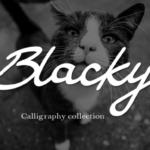Blacky Font - Featured Image