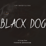 Blacx Dog Font - Featured Image