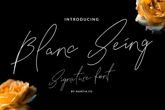 Blanc Seing Font - Featured Image