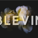 Blevin Font - Featured Image