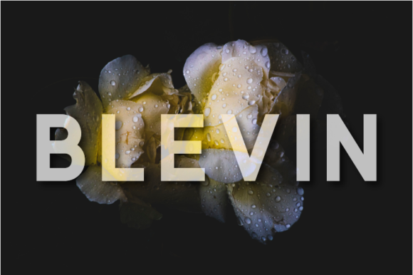 Blevin Font - Featured Image