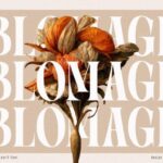 Blomage Font - Featured Image