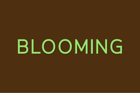 Blooming Font - Featured Image