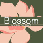 Blossom Font - Featured Image