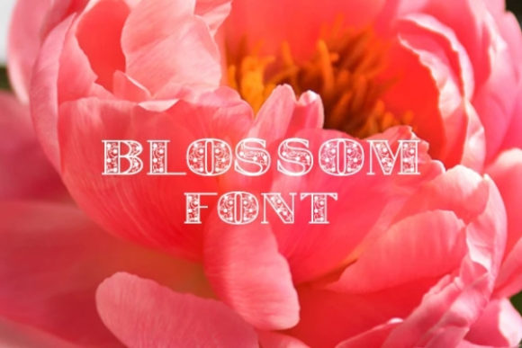 Blossom Font - Featured Image