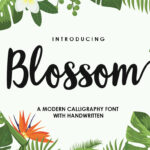Blossom Script Font  Font - Featured Image