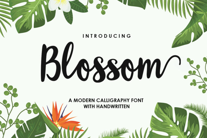 Blossom Script Font  Font - Featured Image