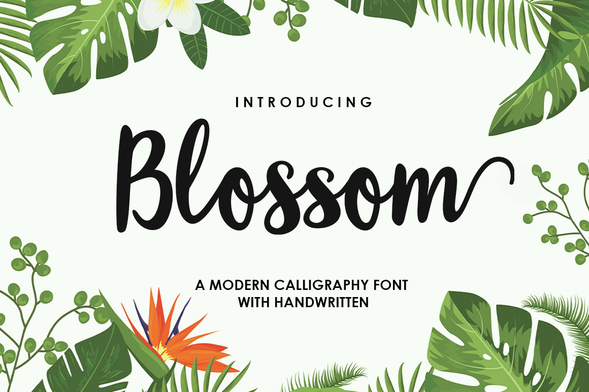 Blossom Script Font  Font - Featured Image