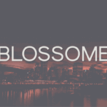 Blossome Font - Featured Image