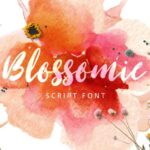 Blossomie Font - Featured Image