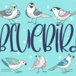 BlueBird Font - Featured Image