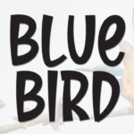 Blue Bird Font - Featured Image